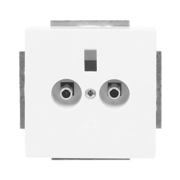 Busch-Jaeger Potentialausgleich dav/sws 2-fach UP 2095 UC-84